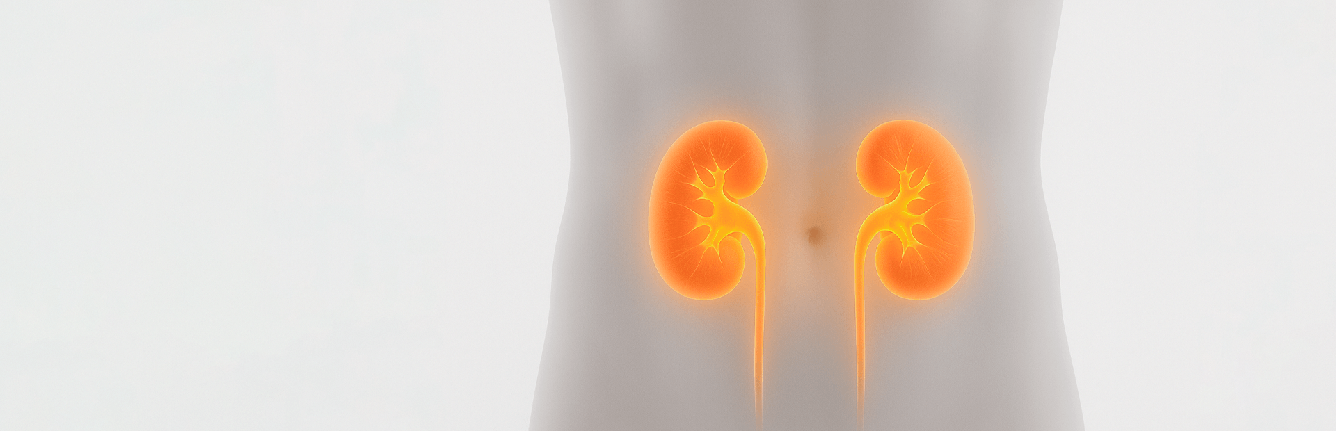 Urology