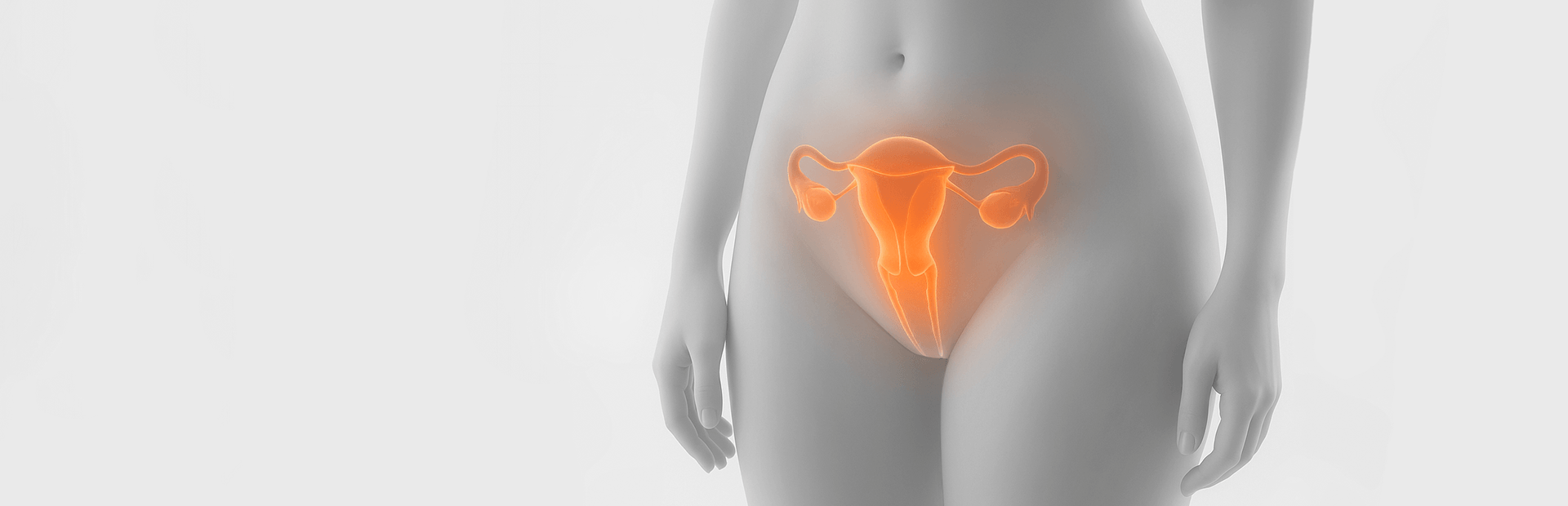 Gynecology