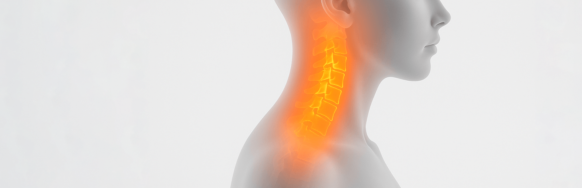 Intervertebral disc construction