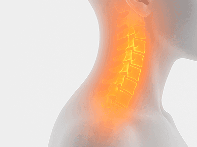 Intervertebral disc construction