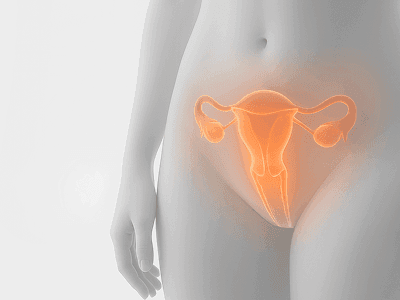 Gynecology